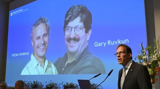 Çmimi Nobel në Mjekësi shkon për Victor Ambros dhe Gary Ruvkun, zbuluan microRNA